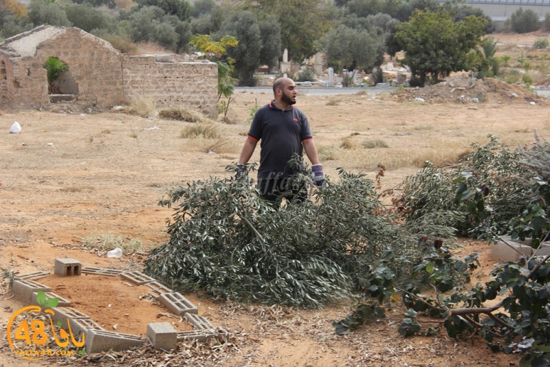 tasoooi3i1412 (45).JPG